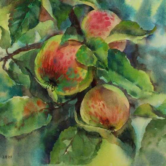 Autumn Apples. Original.