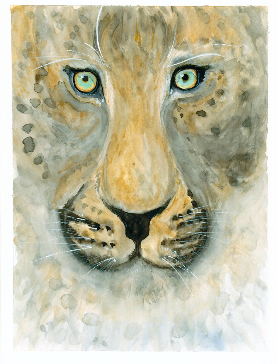 Portrait of a wild cat by Olga Ivanova