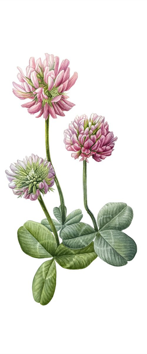 A four-leaf clover Painting by Yuliia Prokopchuk