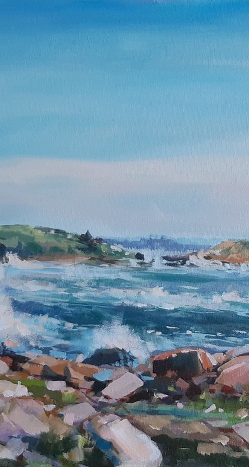 Seascape (plein air) by Alexander Koltakov