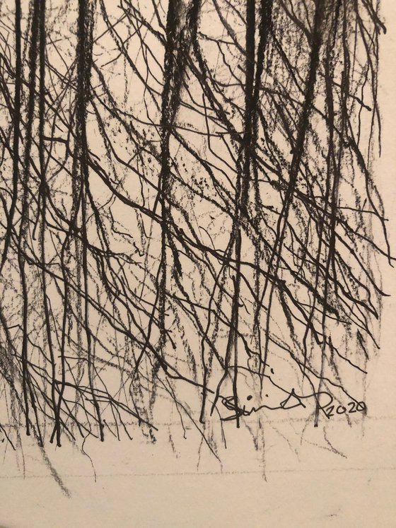 'Long Island Winter III' Charcoal & Ink Landscape Tree Water Reflection Drawing