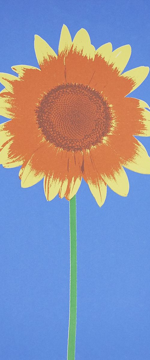 Sunflower by Ed Watts