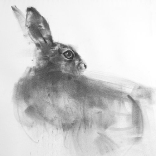 Hare No 2 by Tianyin Wang