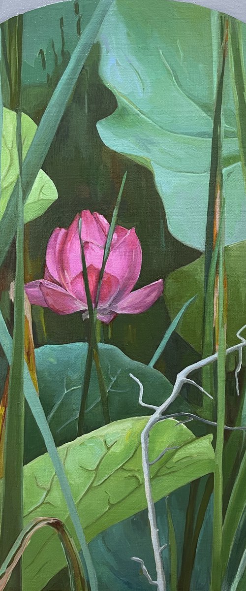 Pink lotus in the dark green by Guzel Min