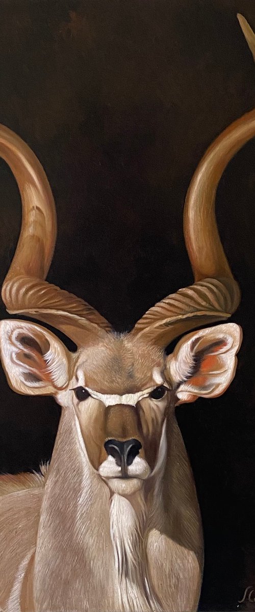 Portrait of a Kudu by Ara Gasparian
