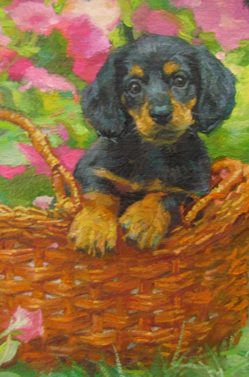 In the basket by Viktoriia Pidvarchan