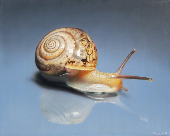 painting Snail, snail art, hyperrealism, realistic acrylic painting