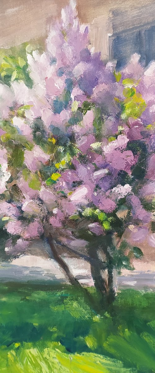 Kharkiv lilac by Valentina Andrukhova