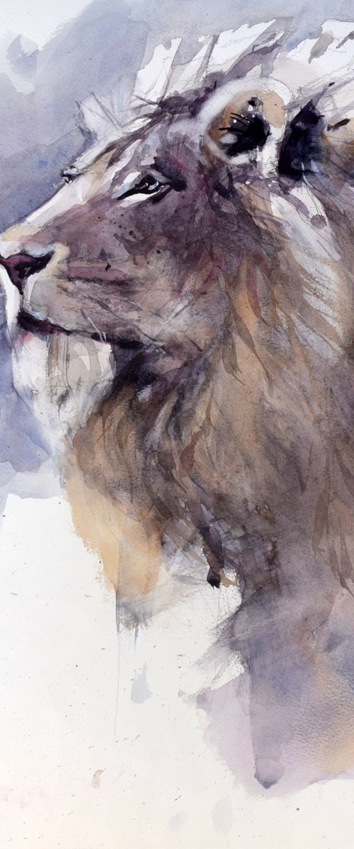 Lion's head 4 by Goran Žigolić Watercolors