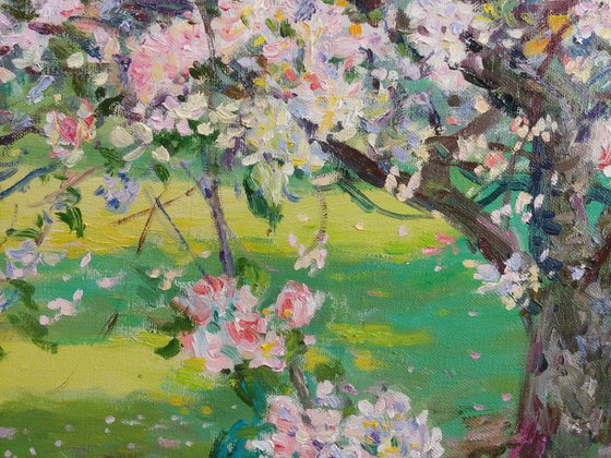 Morning in the spring garden.