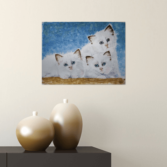 Sweet Ragdoll Kitten Trio Print