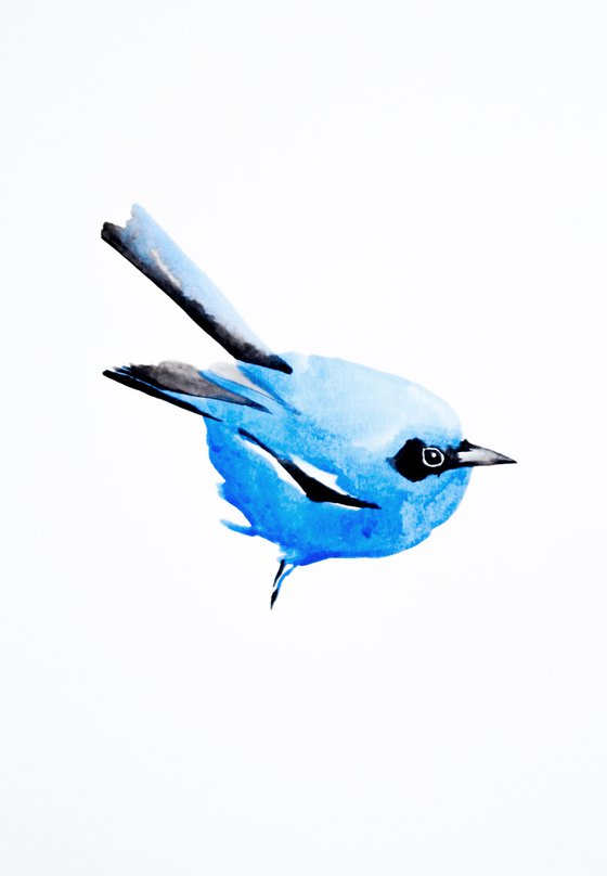 Bird
