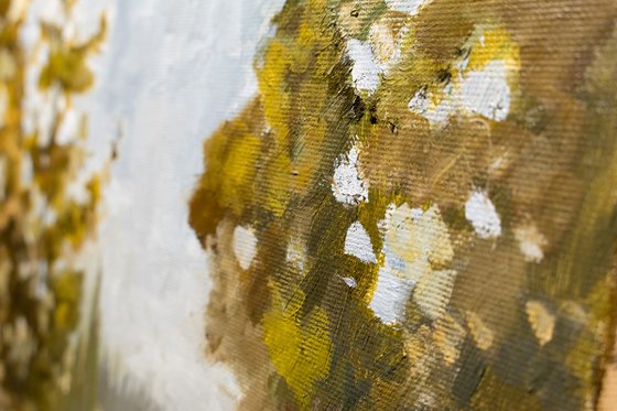 Road To Lower Galilee