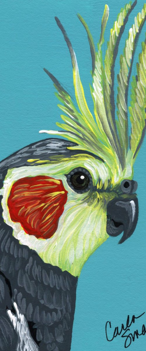 Cockatiel Bird by Carla Smale