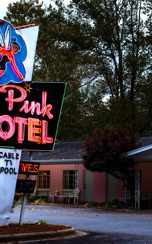 Pink Motel by Robert Tolchin