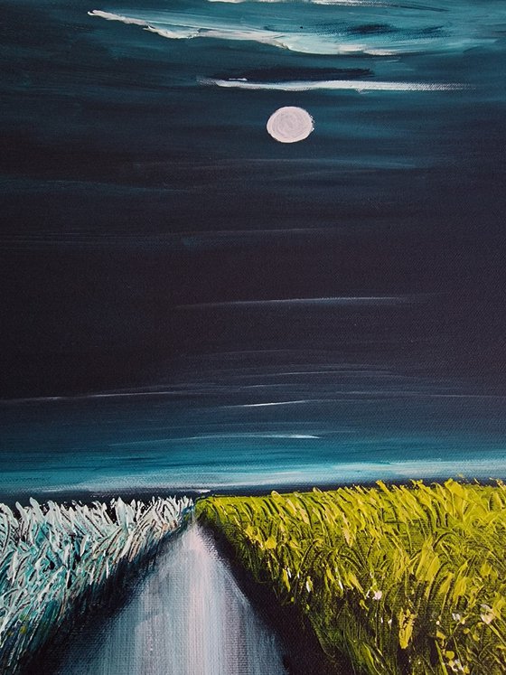 Midnight Sky