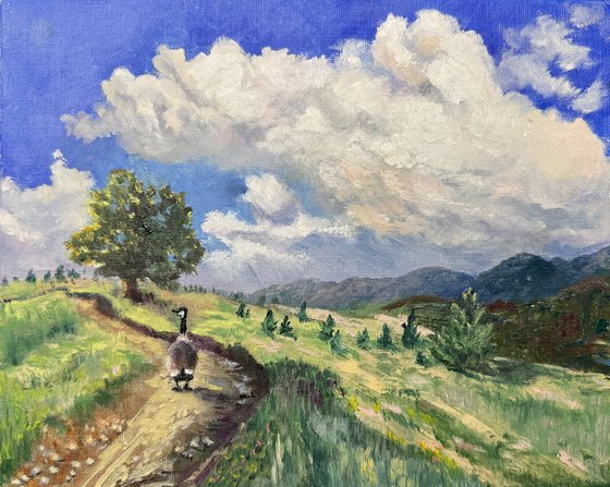 Along The Meadow Path
