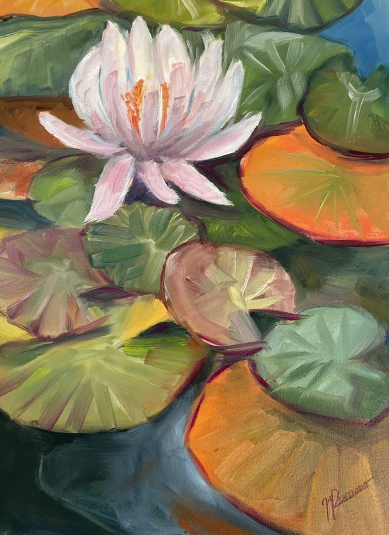 Petals on Water