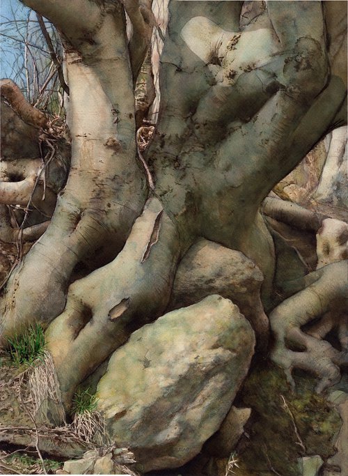Hug - Tree and Stone (Large format) II by REME Jr.