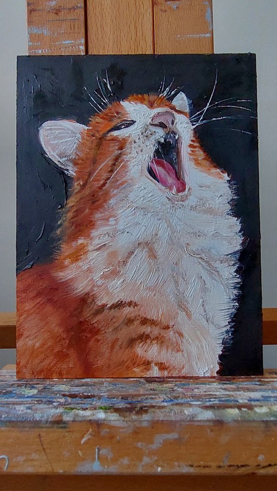 Yawning Ginger Cat