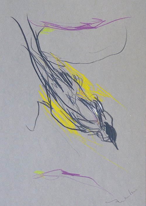 Gestural Research 10 - The Bird, 29x21 cm by Frederic Belaubre