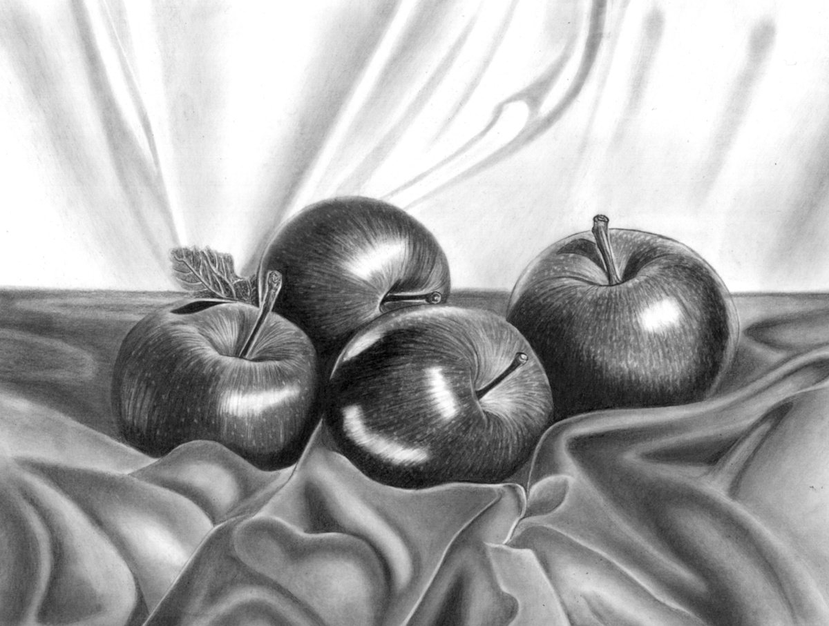 Photorealistic Still Life Pencil Drawing By Paul Stowe, 15 X 11", Red Apples, Original Artwork