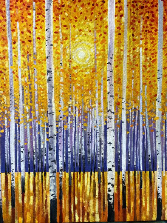 Sunset in aspens forest