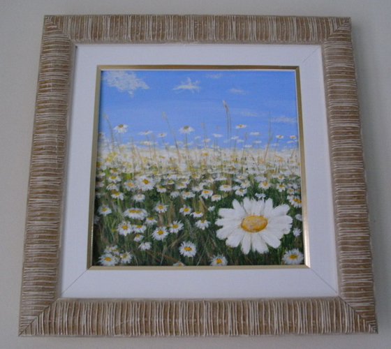 Daisies In The Field - SOLD