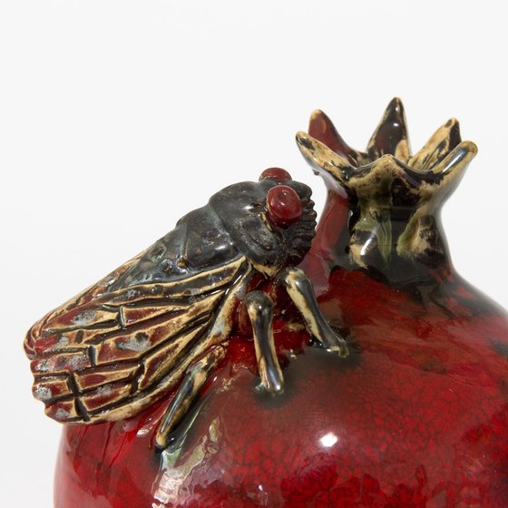 Cicada and pomegranate