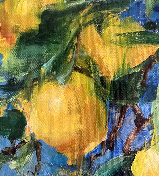 CITRONS DE LA MEDITERANNEE