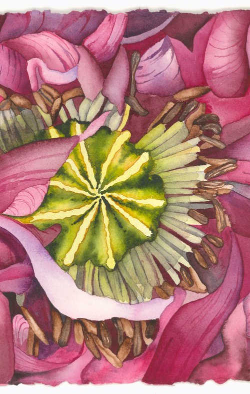 Queens Gift by Mary Lyn Gough