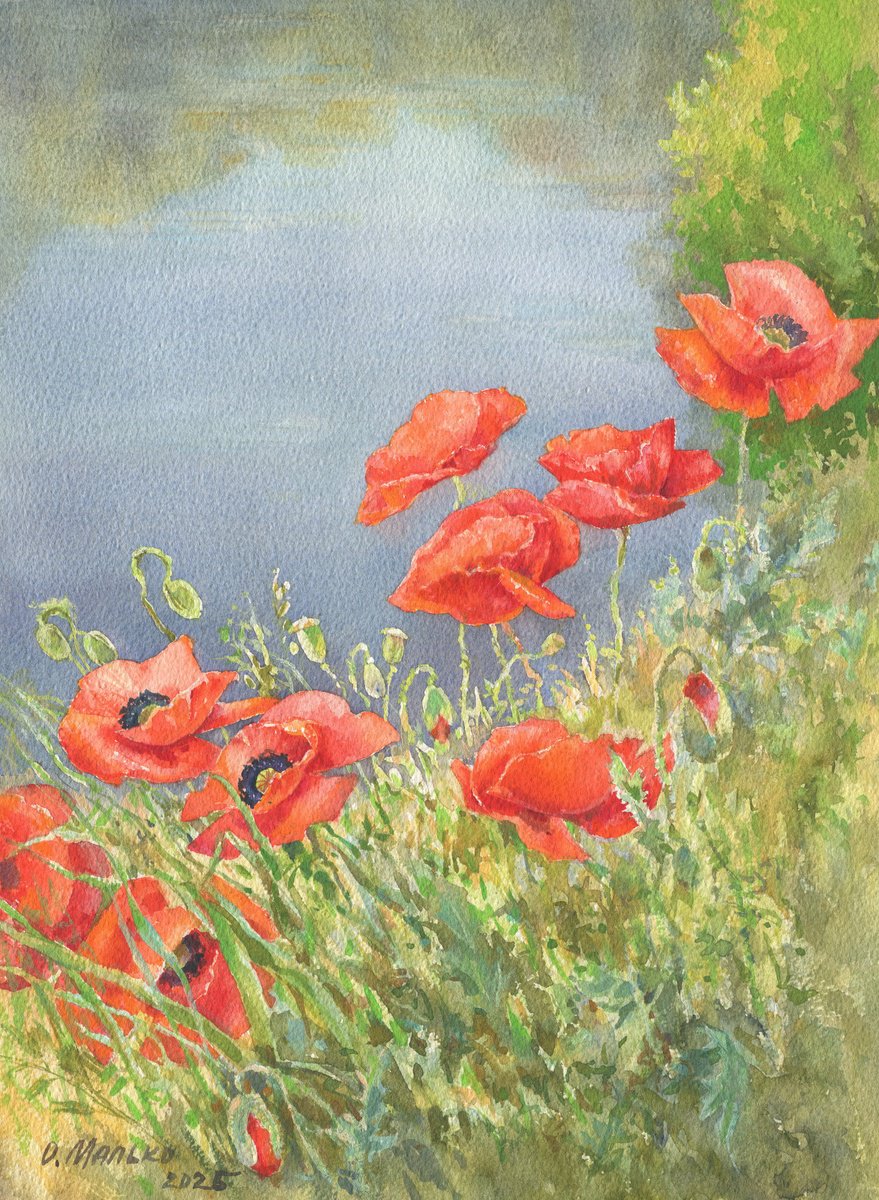 Impressionistic Landscape Watercolour By Olha Malko, 11 X 15", Poppies On A River Bank, Original Artwork