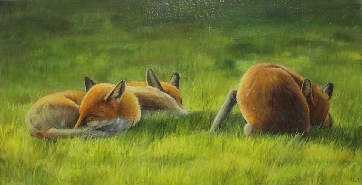 Foxes in the Sun Vol 3 by Alex Jabore Paintings and Prints
