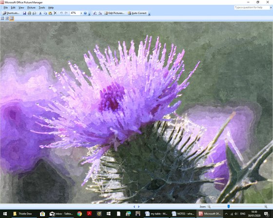 Thistle Dew