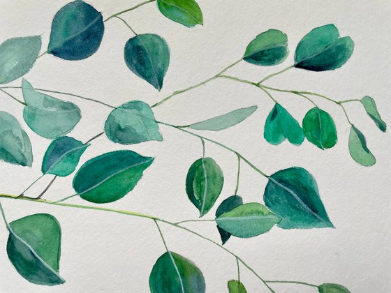 Eucalyptus Original Painting, Botanical Watercolor Artwork, Green Leaves Wall Art, Plant Illustration