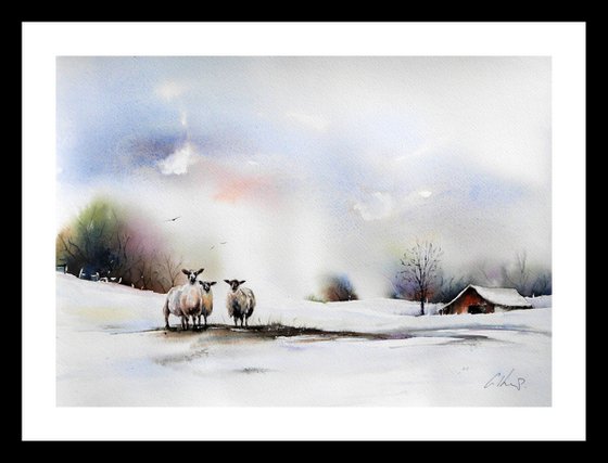 Three Sheep. Original Watercolour Painting.