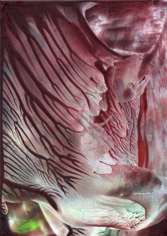 The Dreams Of Nature