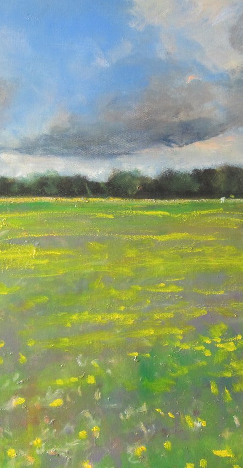 Buttercup Meadow by Malcolm Ludvigsen