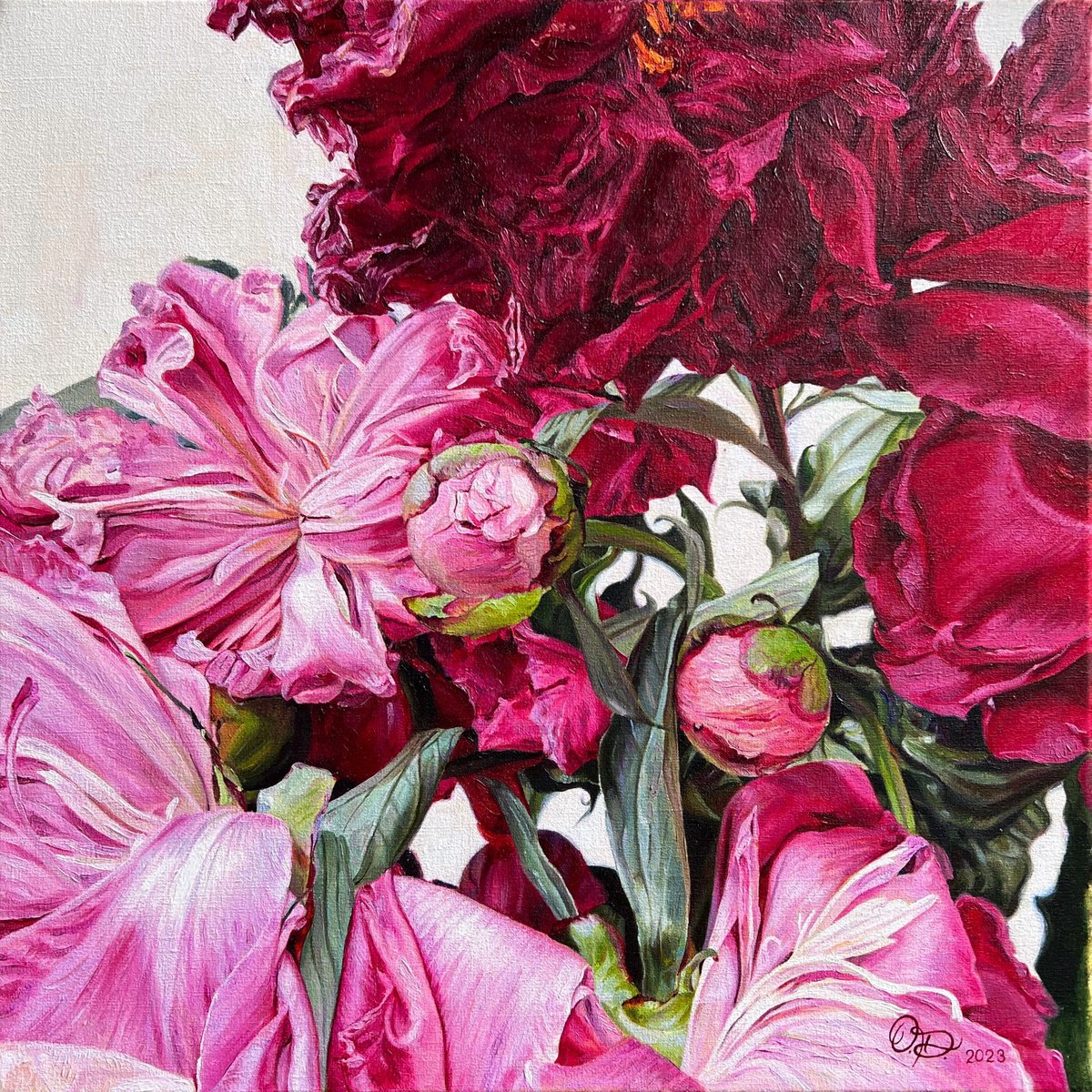 Photorealistic Botanical Oil Painting By Olha Dashkevych, 16 X 16", - Pink Peonies - ?, Original Artwork