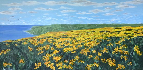 Wildflowers by the Sea