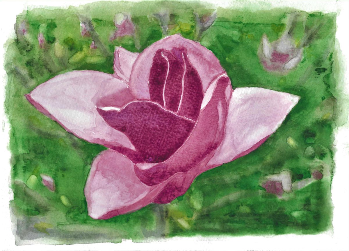 MAGNOLIA II by Nives Palmic