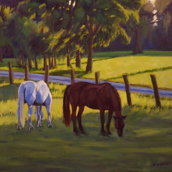 Horses Grazing