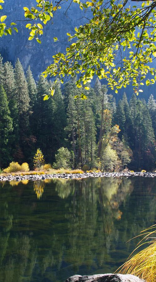 Merced River Reflections by Alex Cassels