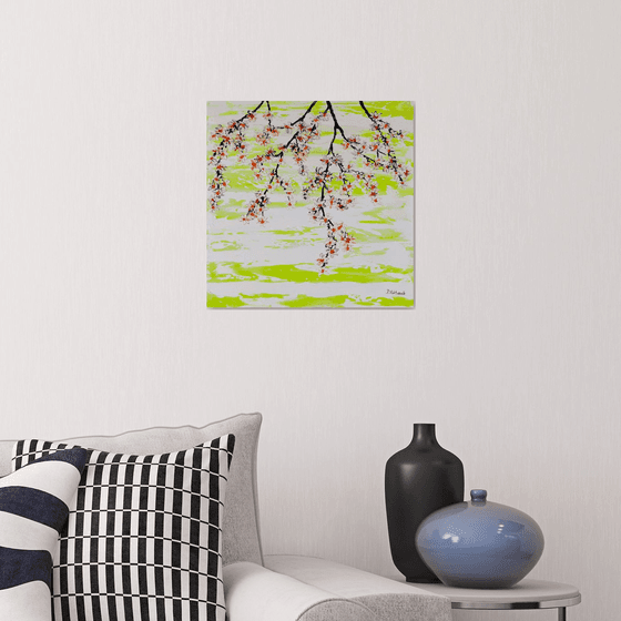 Cherries in the spring 2