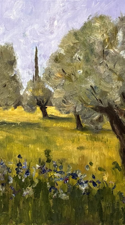 Olive trees of Acre by OLEG KAMAEV