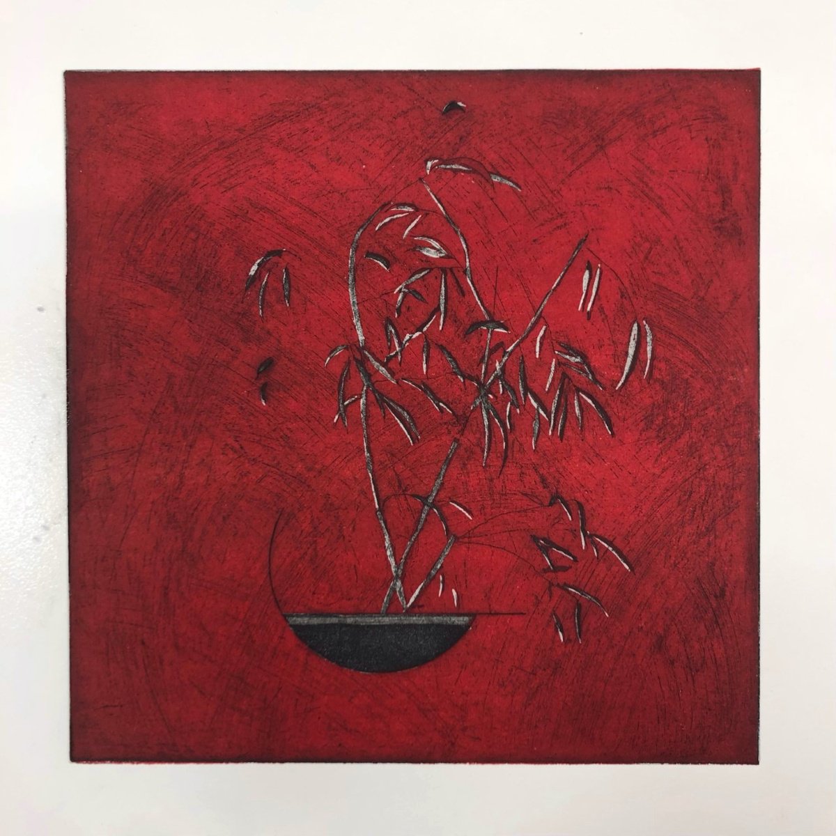 Expressive Botanical Etchings & Engravings By Mario Sanchez, 16 X 16", Plant In Red, Original Artwork