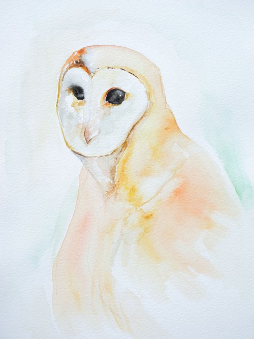 Barn Owl Watercolour Painting by Victoria Lucy Williams