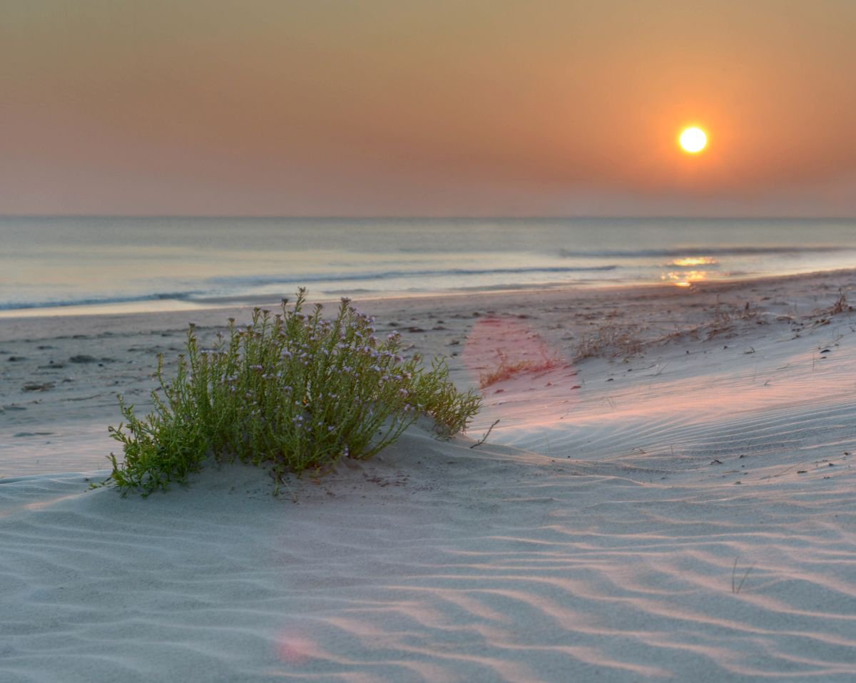 Sunrise at the beach by Yani Hristov