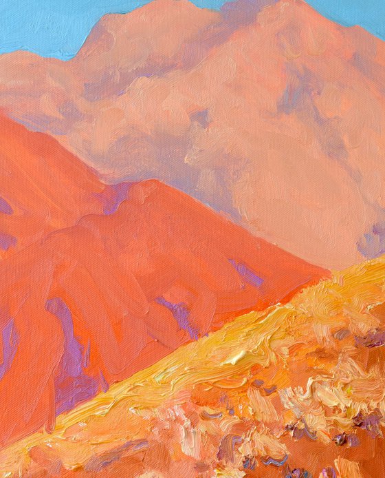 Golden Hour of the Desert