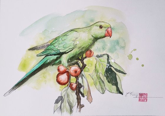 Watercolor- Parrot #20830